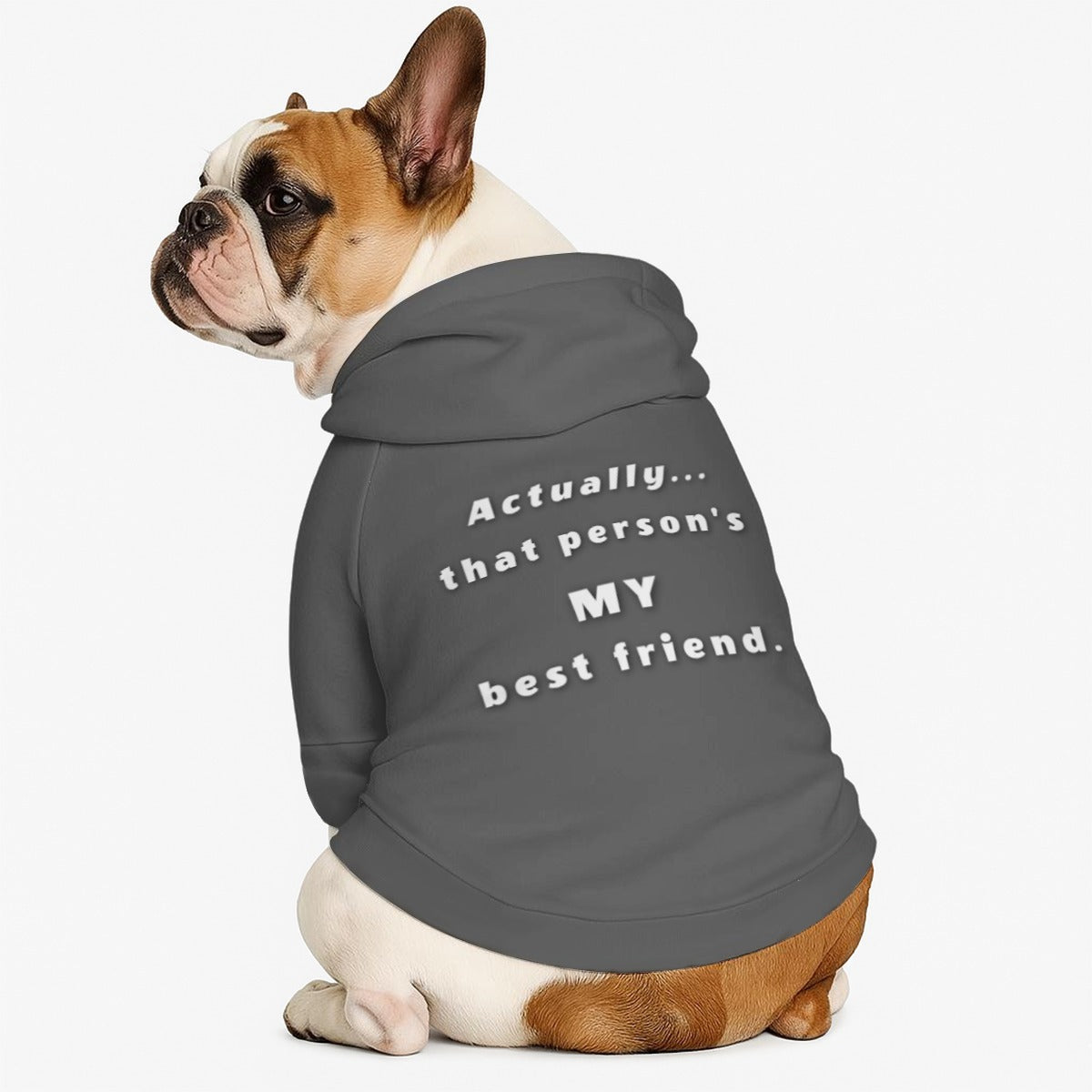 Dog Hoodie - Best Friend