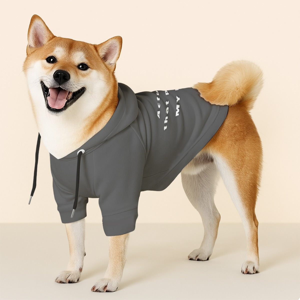Dog Hoodie - B**ch